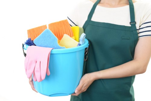 Professional cleaning team from Hannah House Maids