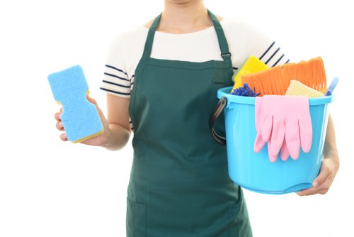 Detailed bathroom deep cleaning by experts