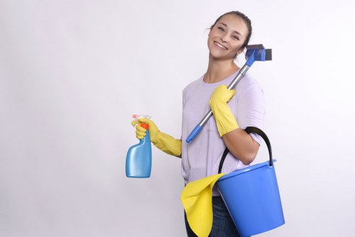 Happy homeowner admiring clean windows