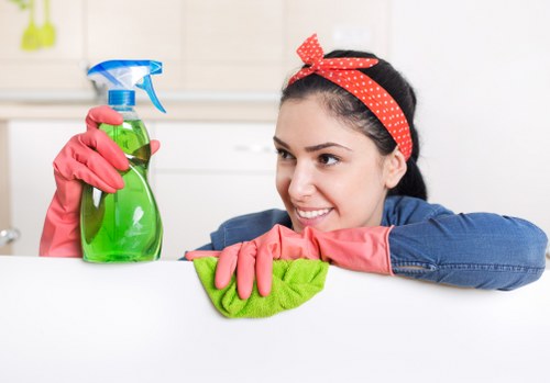 Eco-friendly facade cleaning solutions in action