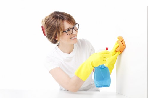Professional gutter cleaning tools used by Hannah House Maids