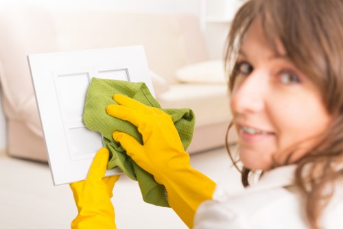 Eco-friendly cleaning solutions in use