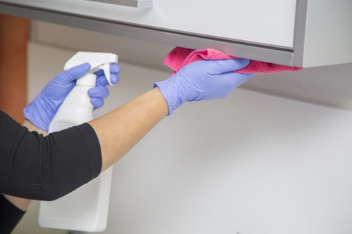 Eco-friendly cleaning products used by Hannah House Maids